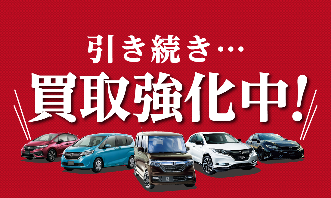 引き続き…買取強化中!